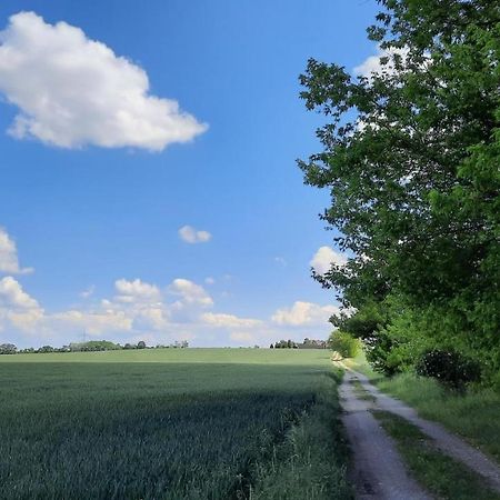 Vierseitenhof Hasenfelde - Ferienwohnung Feldblick Steinhofel Buitenkant foto