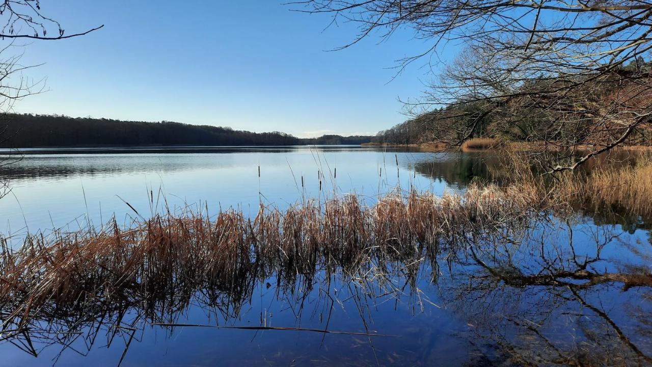 Vierseitenhof Hasenfelde - Ferienwohnung Feldblick Steinhofel Buitenkant foto