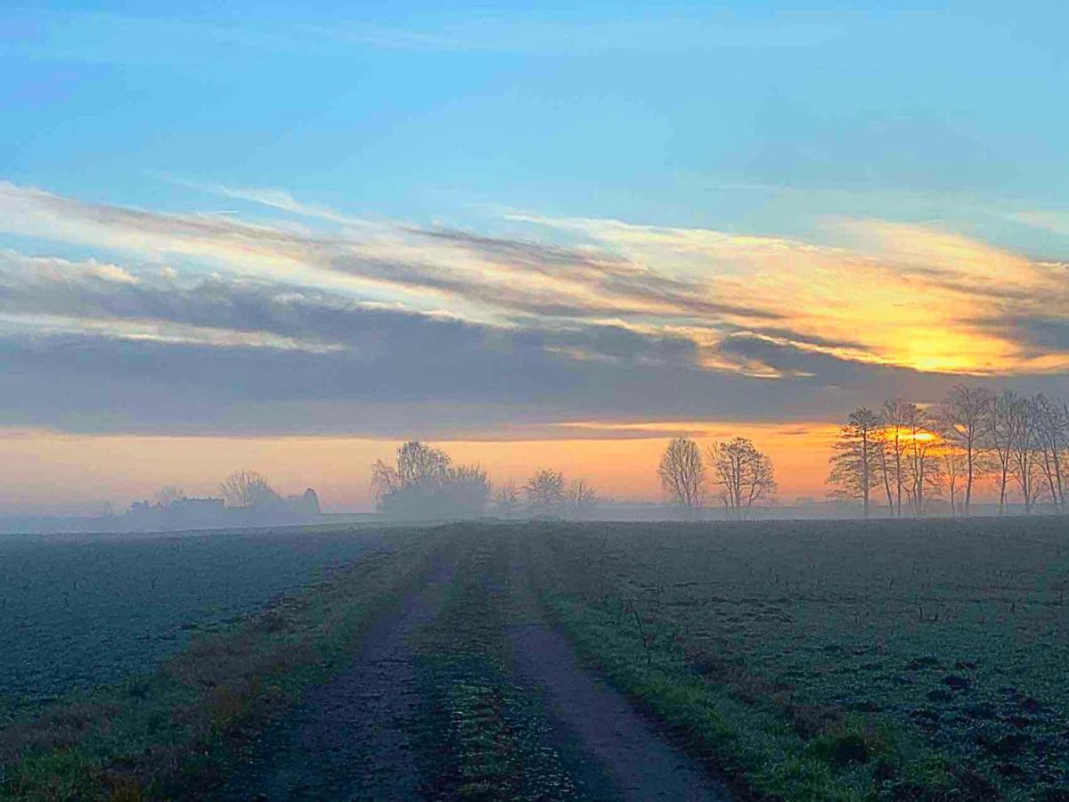 Vierseitenhof Hasenfelde - Ferienwohnung Feldblick Steinhofel Buitenkant foto