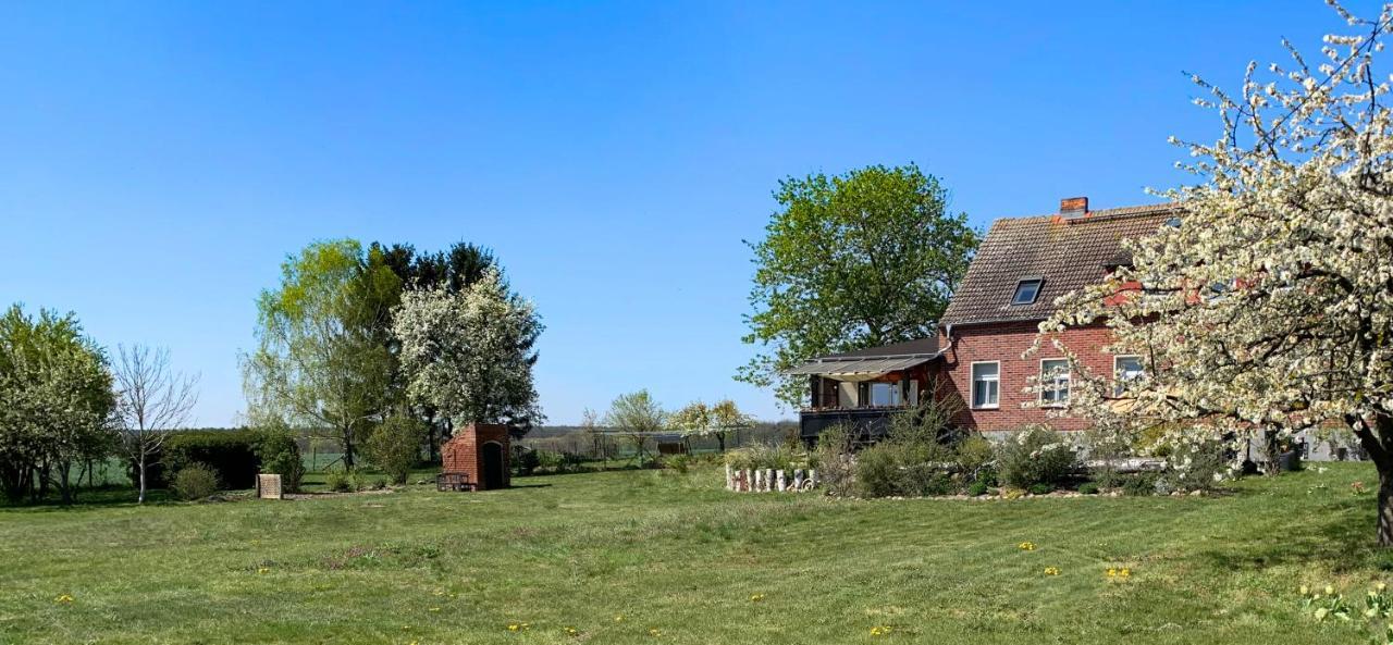 Vierseitenhof Hasenfelde - Ferienwohnung Feldblick Steinhofel Buitenkant foto