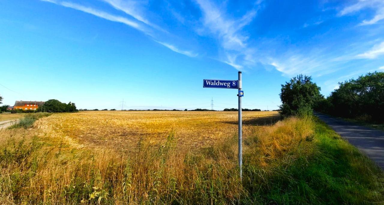 Vierseitenhof Hasenfelde - Ferienwohnung Feldblick Steinhofel Buitenkant foto