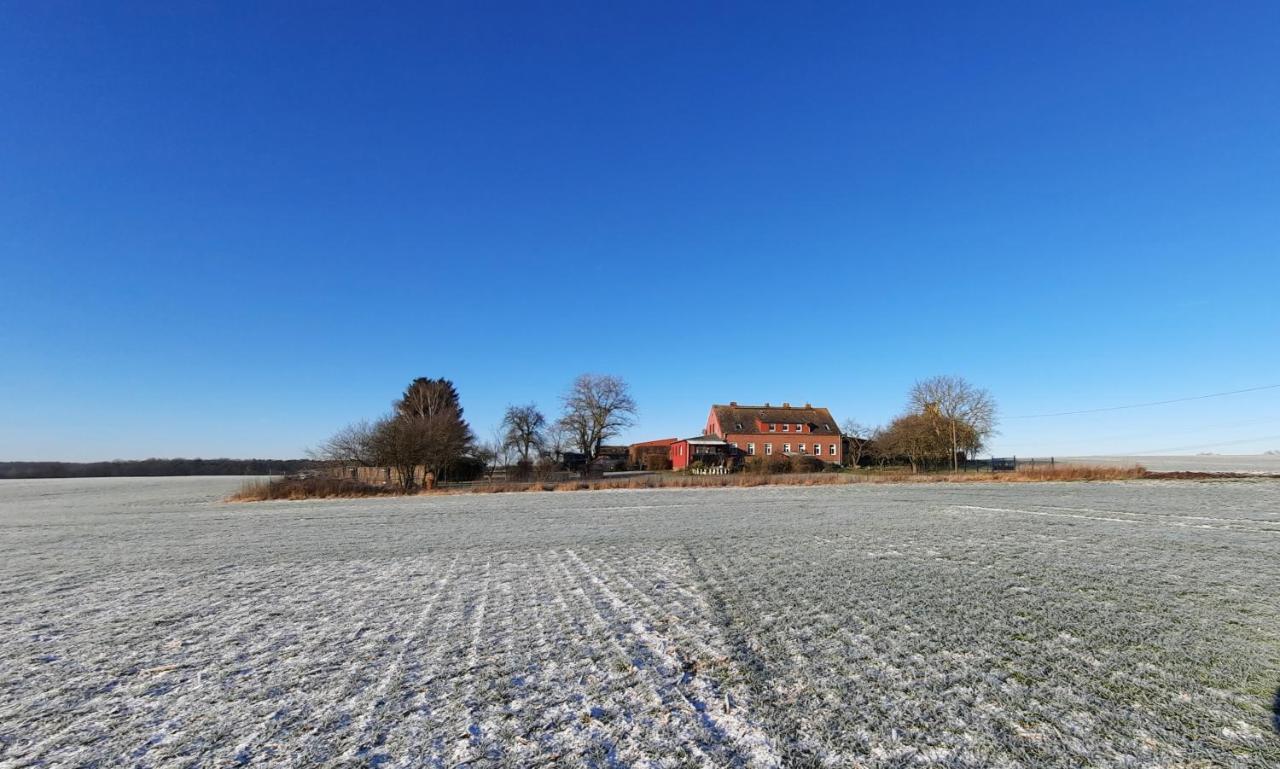 Vierseitenhof Hasenfelde - Ferienwohnung Feldblick Steinhofel Buitenkant foto