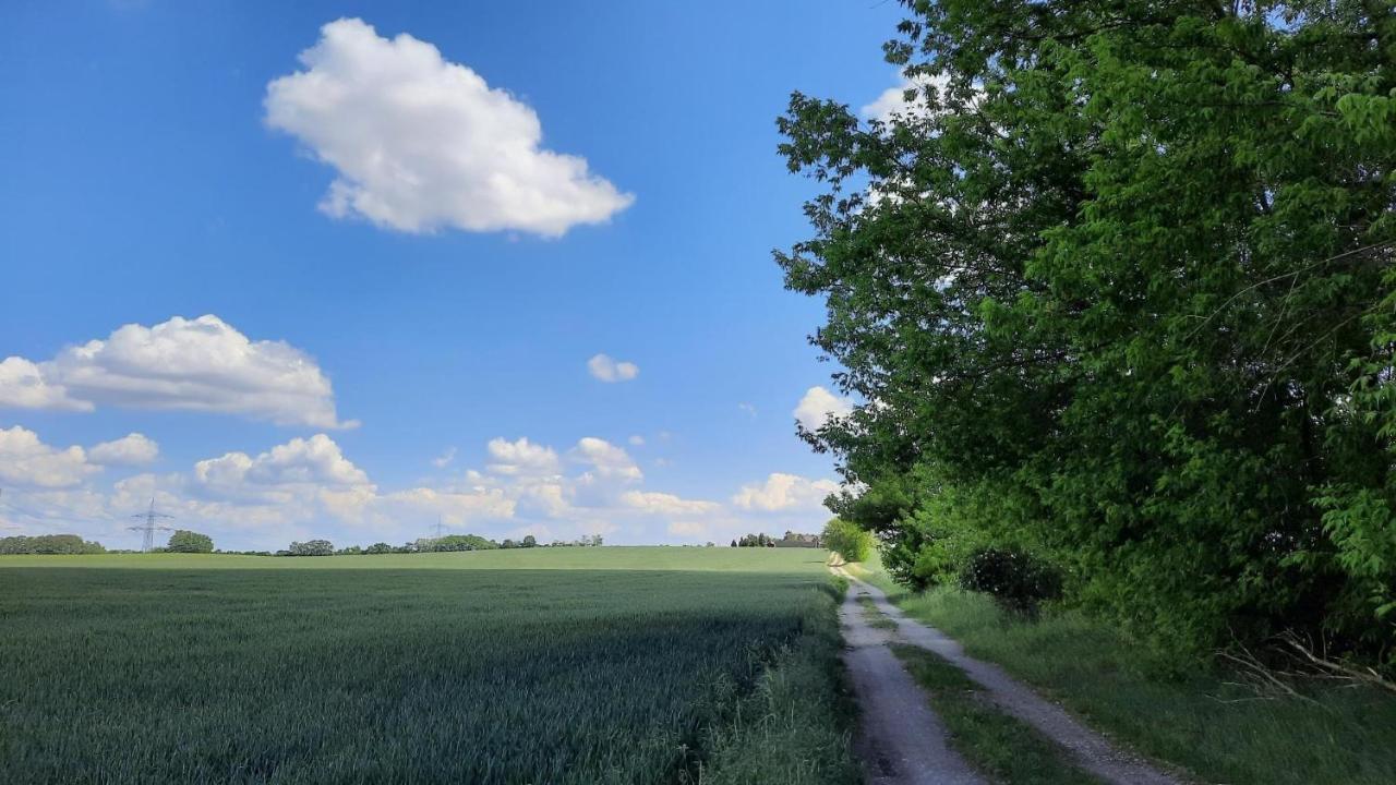 Vierseitenhof Hasenfelde - Ferienwohnung Feldblick Steinhofel Buitenkant foto